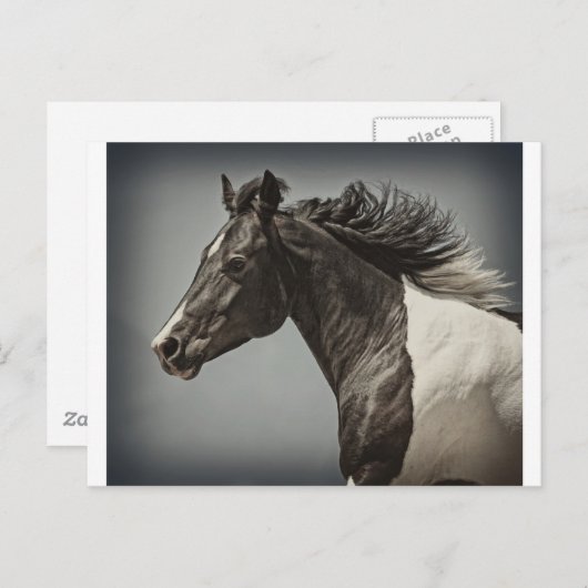 Carte Postale La peinture (Devant / Derrière)