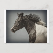 Carte Postale La peinture (Devant)