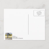 Carte Postale La peinture d'Ollie (Dos)