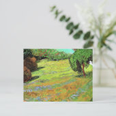 Carte Postale La pelouse ensoleillée dans un parc public par Vin (Debout devant)