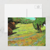 Carte Postale La pelouse ensoleillée dans un parc public par Vin (Devant / Derrière)