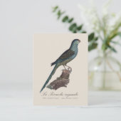 Carte Postale La Perruche ingambe (Debout devant)