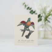 Carte Postale La Perruche une face bleue (Debout devant)