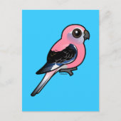 Carte Postale La perruque de Bourke (Devant)