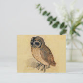 Carte Postale La Petite Chouette Albrecht Dürer (Debout devant)