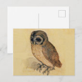 Carte Postale La Petite Chouette Albrecht Dürer (Devant / Derrière)