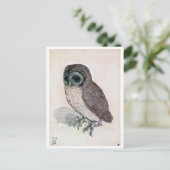 Carte Postale La Petite Chouette, Albrecht Durer (Debout devant)