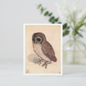 Carte Postale "La Petite Chouette" par Albrecht Dürer (Debout devant)