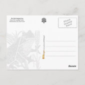 Carte Postale La Petite Grenouille Qui Chante (Dos)