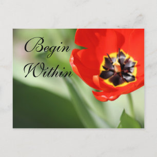 Carte Postale La photographie des tulipes intérieures