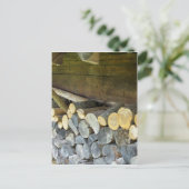 Carte Postale La Pile De Bois (Debout devant)