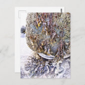 CARTE POSTALE LA PLAGE (Devant / Derrière)