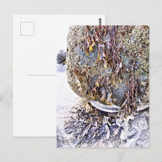 CARTE POSTALE LA PLAGE (Devant / Derrière)