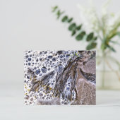 CARTE POSTALE LA PLAGE, ALGUES, EAU ET SABLE (Debout devant)