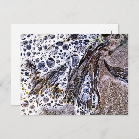 CARTE POSTALE LA PLAGE, ALGUES, EAU ET SABLE (Devant / Derrière)