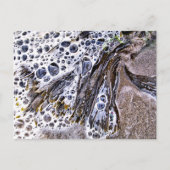 CARTE POSTALE LA PLAGE, ALGUES, EAU ET SABLE (Devant)