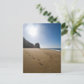 Carte Postale La plage de Cabo San Lucas 3 (Debout devant)
