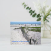 Carte Postale La plage de Davis Park (Debout devant)