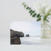 Carte Postale La plage de Dunedin (Debout devant)