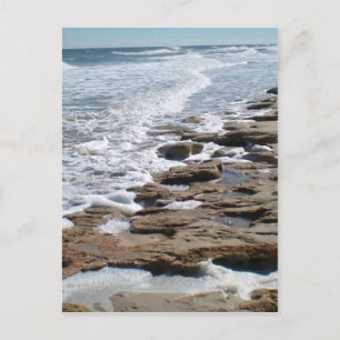 Carte Postale La plage de Marineland