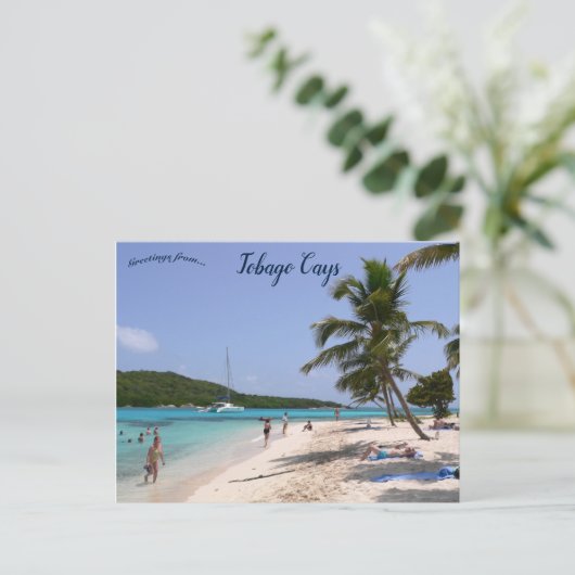 Carte Postale La plage de Tobago Cays (Debout devant)