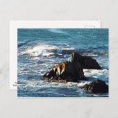 Carte Postale La plage d'Oceano (Devant / Derrière)