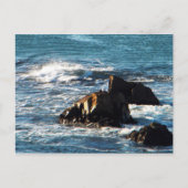 Carte Postale La plage d'Oceano (Devant)