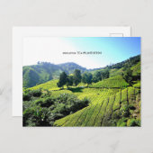Carte Postale La plantation malaisienne de thé (Devant / Derrière)