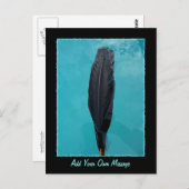 Carte Postale La plume de Corbeau (Devant / Derrière)