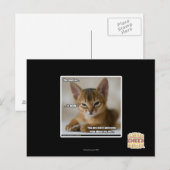 Carte Postale La plume est morte. (Devant / Derrière)