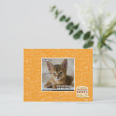 Carte Postale La plume est morte. (Debout devant)