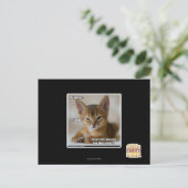 Carte Postale La plume est morte. (Debout devant)