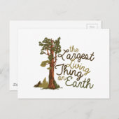 Carte Postale La plus grande chose vivante (Devant / Derrière)