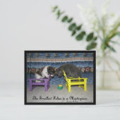 Carte Postale La plus petite féline est un chef-d'oeuvre (Debout devant)