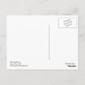 Carte Postale La porte arrière (Dos)