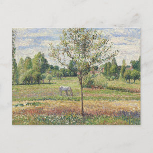Carte Postale La Prairie au cheval gris, Eragny, Peinture à l'hu