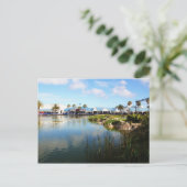 Carte Postale La promenade à Port Elizabeth (Debout devant)