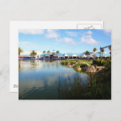 Carte Postale La promenade à Port Elizabeth (Devant / Derrière)