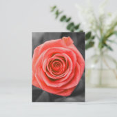 Carte Postale La promesse s'est levée (Debout devant)