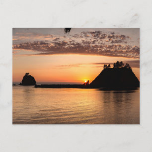 Carte Postale La Push, Washington. Panorama