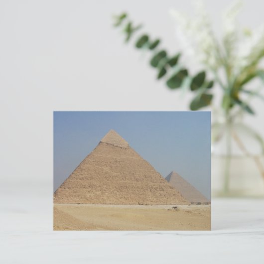 Carte Postale la pyramide de khafre (Debout devant)