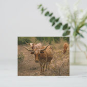 Carte Postale La recherche alimentaire (Debout devant)