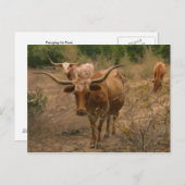 Carte Postale La recherche alimentaire (Devant / Derrière)