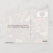 Carte Postale La récolte de manne par Bouts Dieric (Dos)