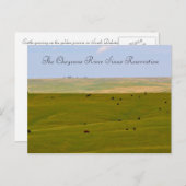 Carte Postale La Réservation Sioux de Cheyenne River (Devant / Derrière)