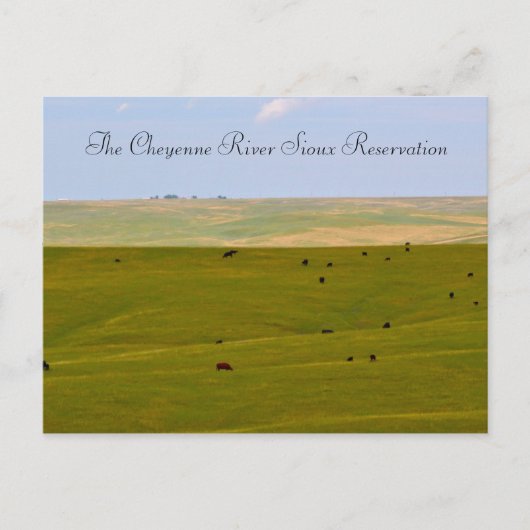 Carte Postale La Réservation Sioux de Cheyenne River (Devant)