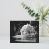 Carte Postale La réserve de Bloedel (Debout devant)