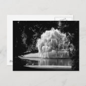 Carte Postale La réserve de Bloedel (Devant / Derrière)