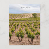 Carte Postale La Rioja, Spain Vineyard Landscape (Devant)