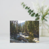 Carte Postale La rivière Kaweah dans le parc national de Sequoia (Debout devant)